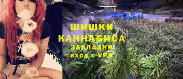 спиды Дмитриев