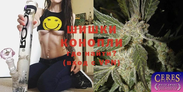 спиды Дмитриев