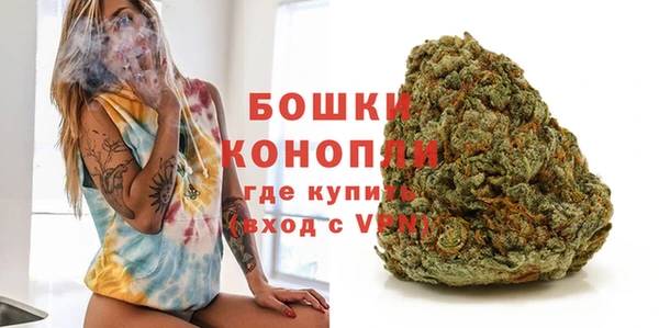 шишки Чердынь