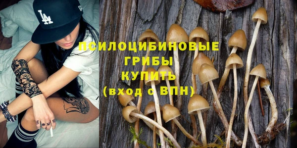 МДПВ Дмитров