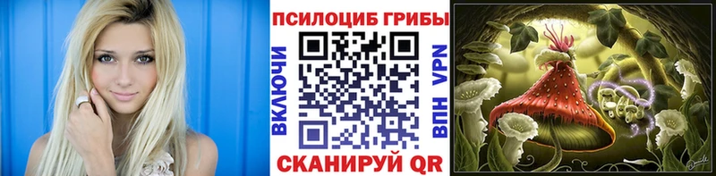 дарнет шоп  Рузаевка  Галлюциногенные грибы Psilocybe 