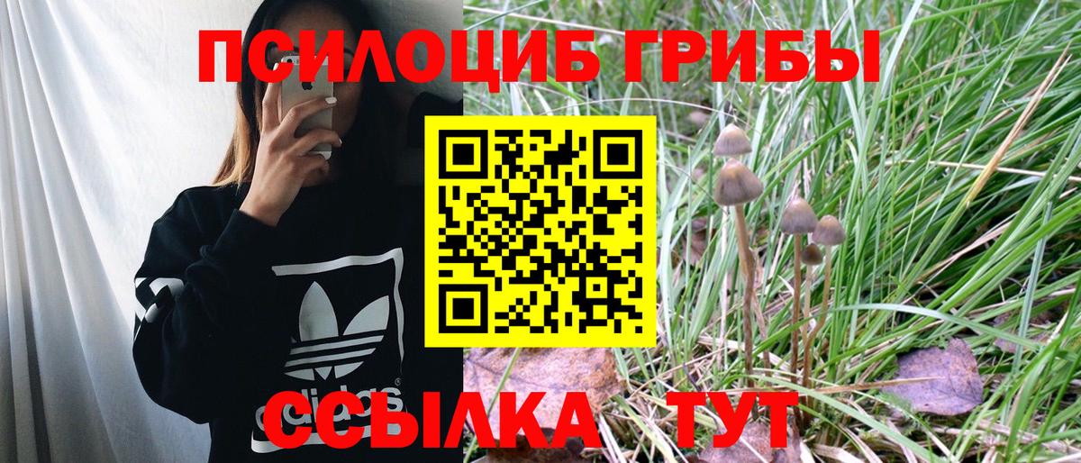 Рузаевка  Галлюциногенные грибы Magic Shrooms  Галлюциногенные грибы Psilocybine cubensis  Вход с VPN 