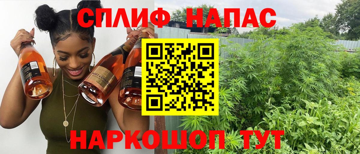 Конопля White Widow  Рузаевка  Бошки марихуана AK-47  Марихуана марихуана 